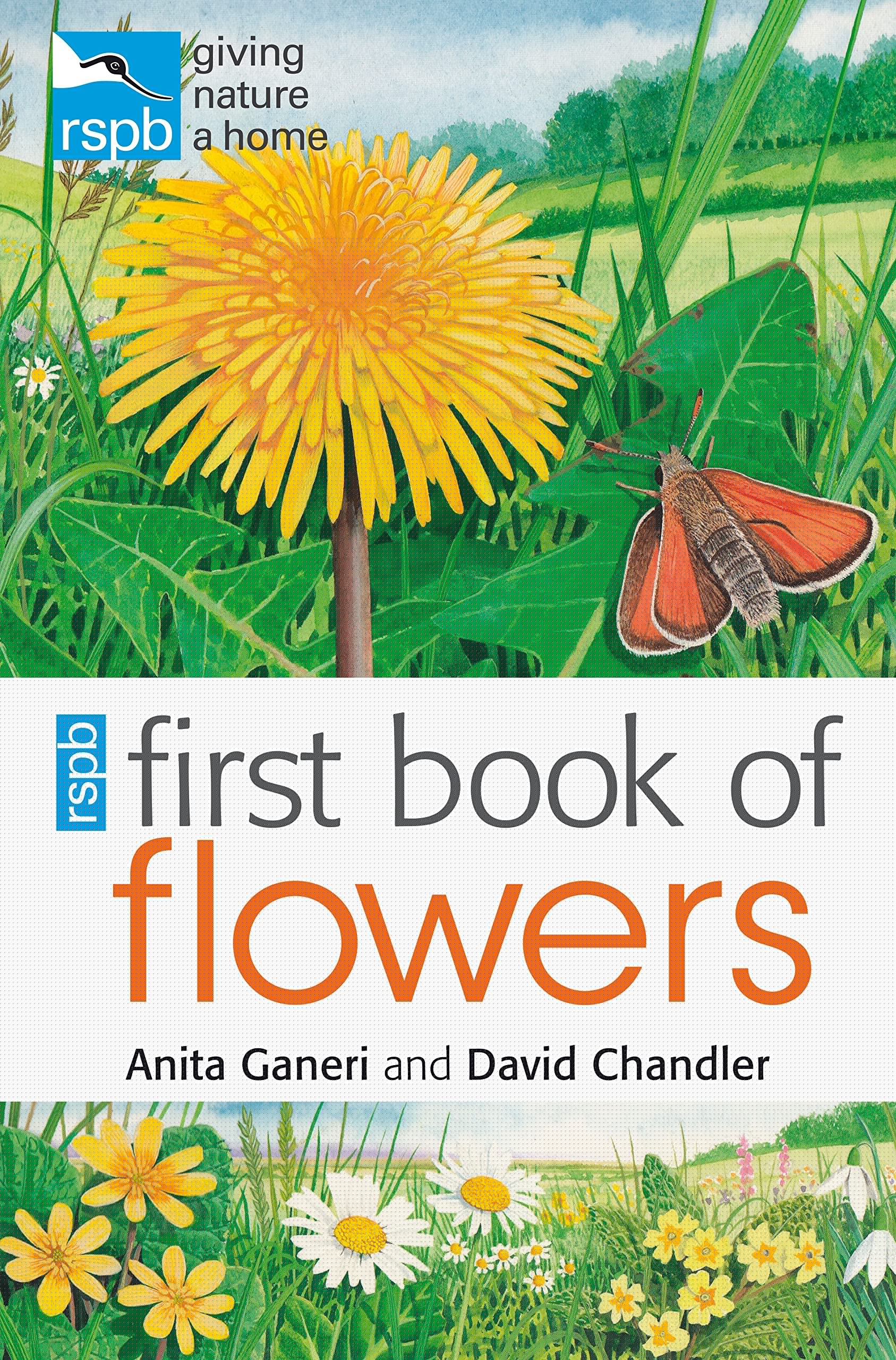 RSPB First Book of Flowers - Beginner's Guide to Wildflower Identification - Perfect for Nature Lovers, Kids & Outdoor Education