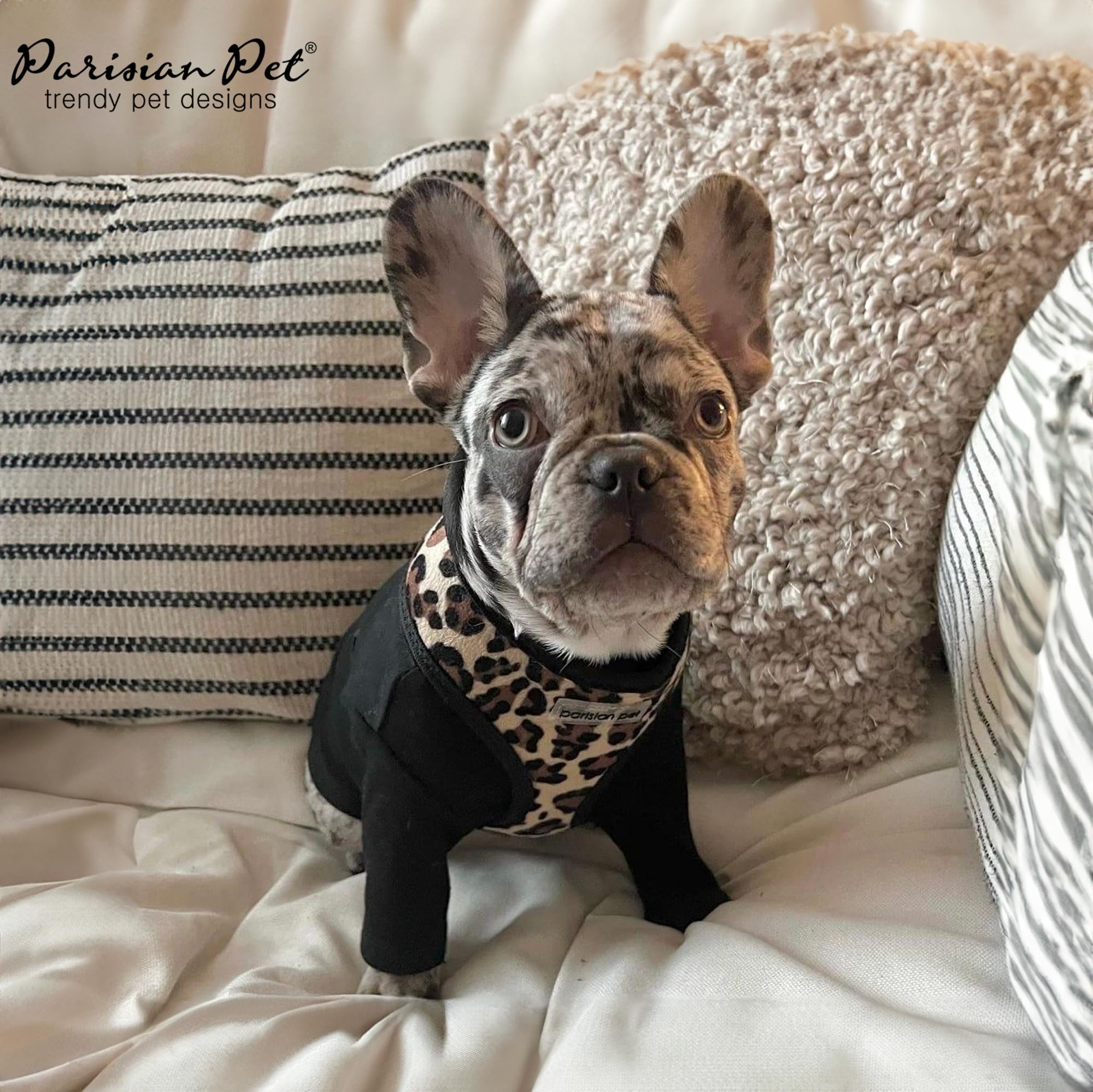 Parisian Pet Freedom Adjustable Dog Harness - Leopard Print Mesh Vest for Small Dogs & Puppies (XS) - Breathable & Comfortable for Outdoor Walking, Hiking & Adventures