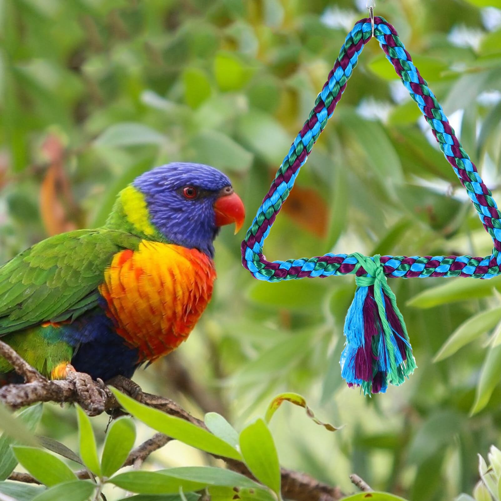 2pcs Parrot Swing Toy for Macaw, Parakeet & Pet Birds - Cotton Rope Chewable Climbing Perch & Triangle Swing Accessories - Perfect for Bird Cages, Play Gyms & Enrichment Activities