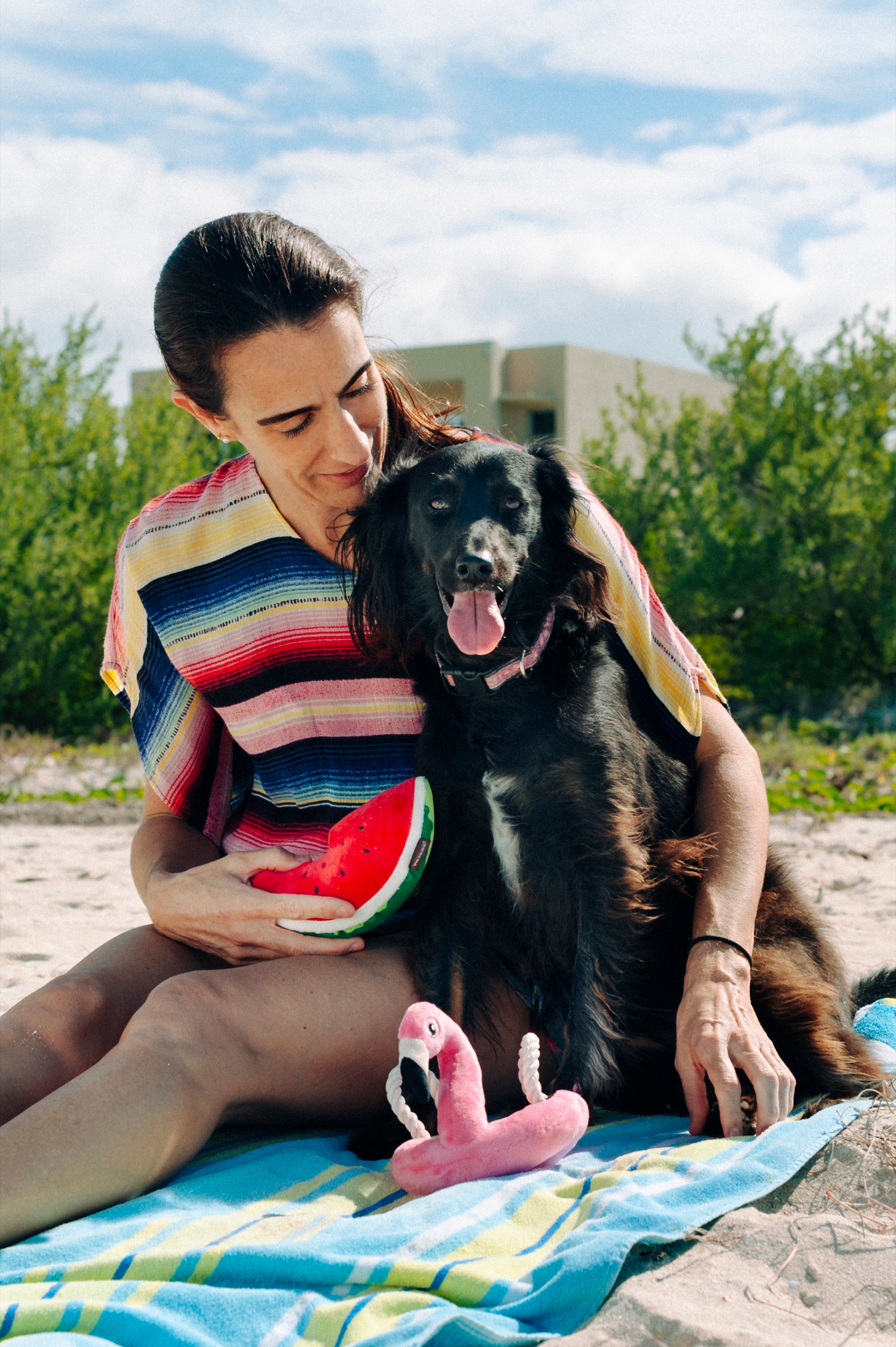Tropical Paradise™ Watermelon Dog Plush Toy - Durable & Fun Chew Toy for Small & Large Dogs | Perfect for Playtime, Training & Cuddling | Pet P.L.A.Y.