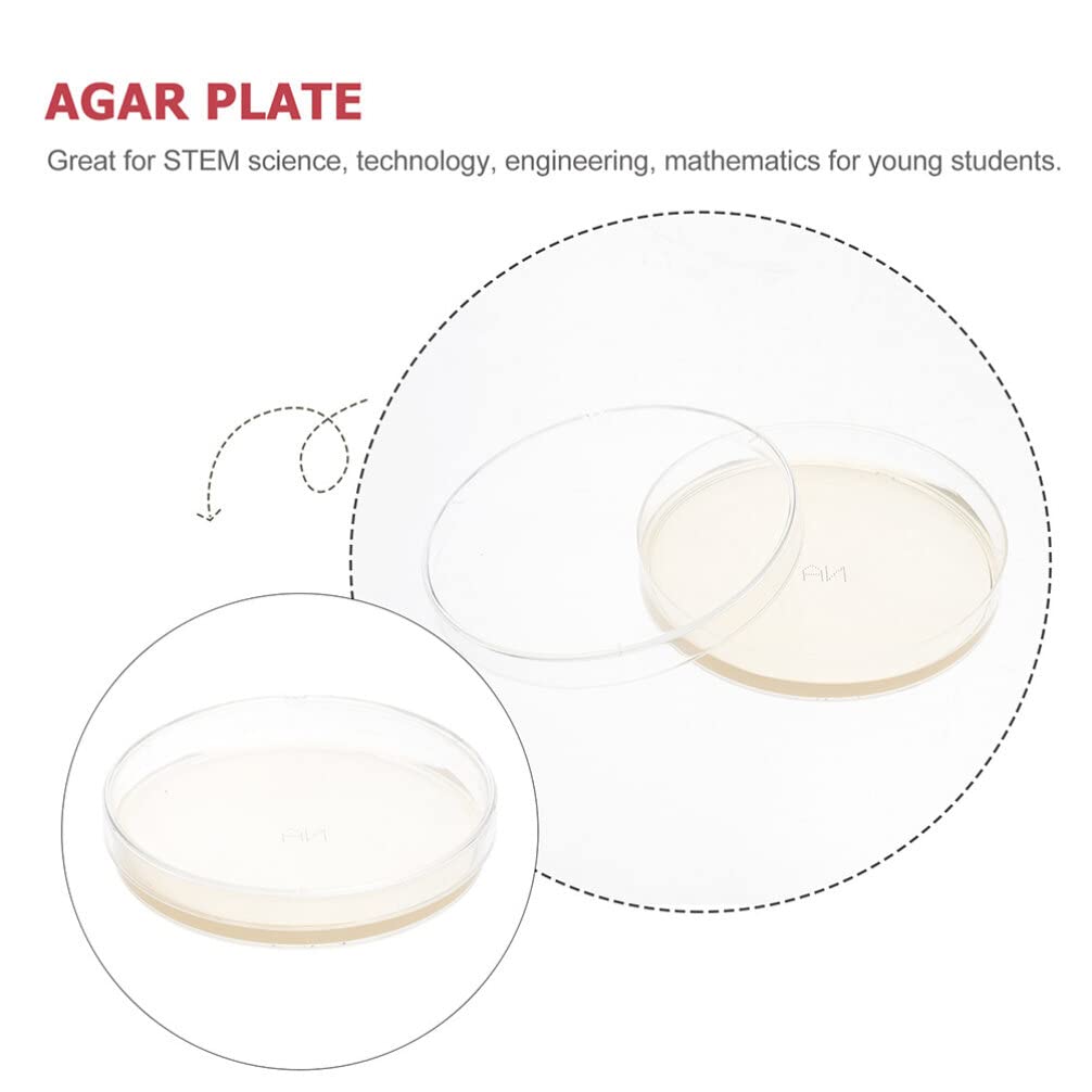 10pcs Nutrient Agar Petri Dishes with Lids for Lab Cultures