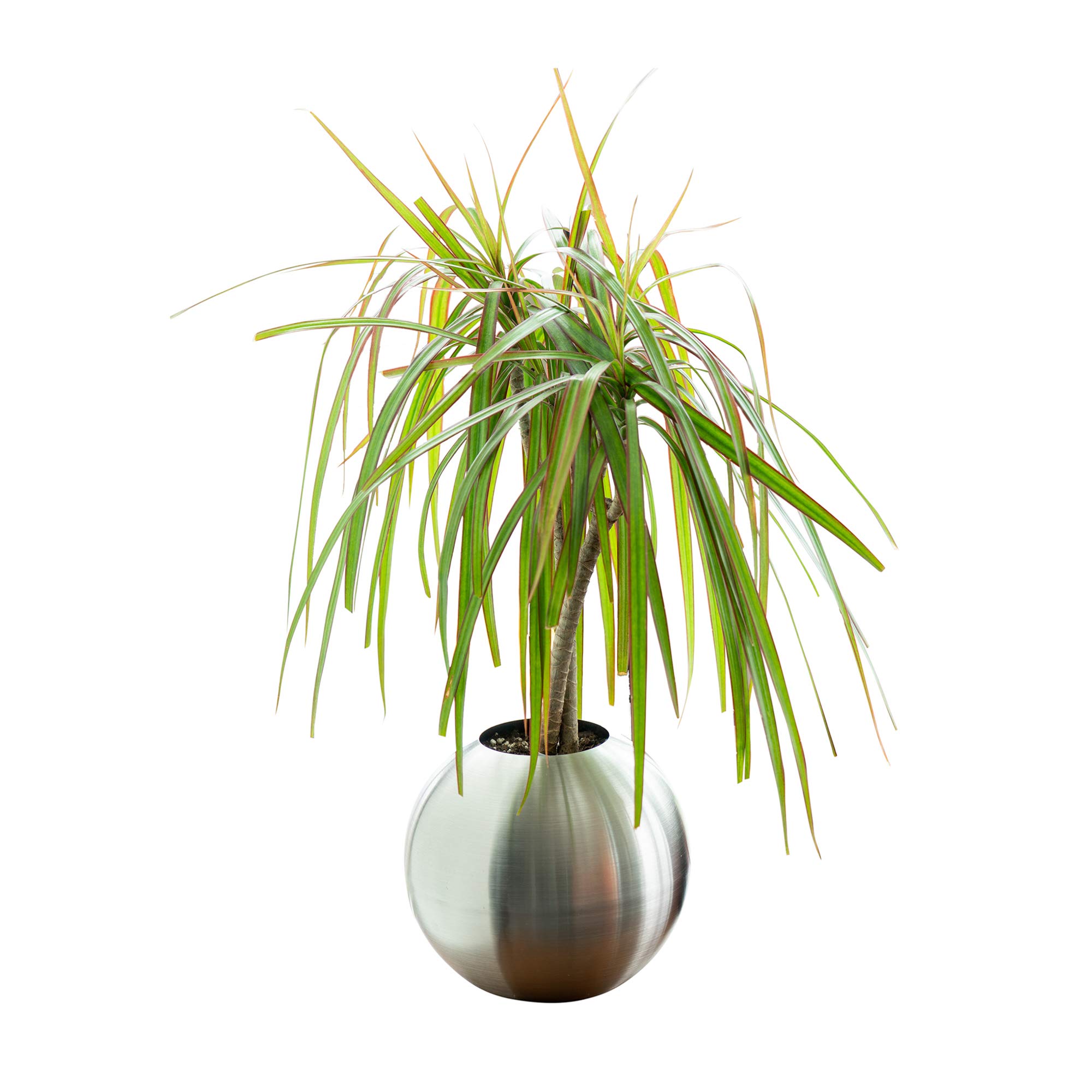 ATP MODERN Brushed Stainless Steel Floor Planter - 8 Inch Large Sphere Plant Pot for Indoor Plants | Minimalist Home Decor for Living Room, Office & Bedroom | Durable Metal Planter for Houseplants