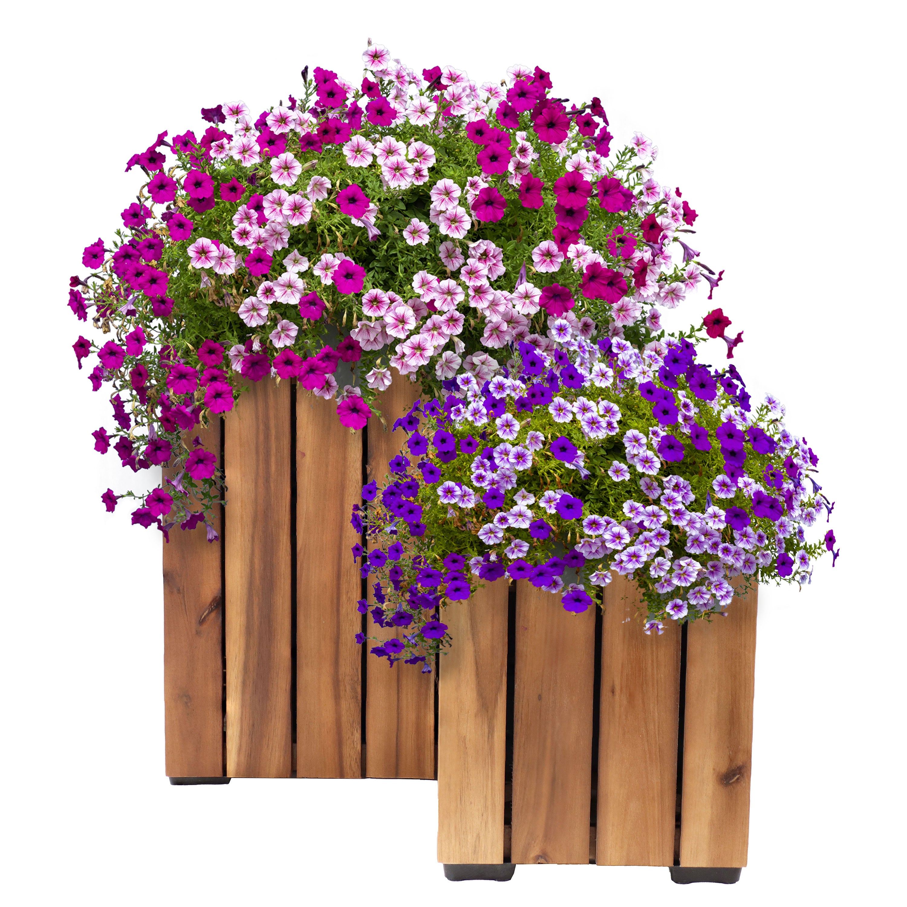 Sunnydaze 2-Piece Wooden Planter Box Set with Vertical Planks - Outdoor Garden Decor for Flowers, Herbs & Plants - Perfect for Patio, Balcony & Backyard Gardening