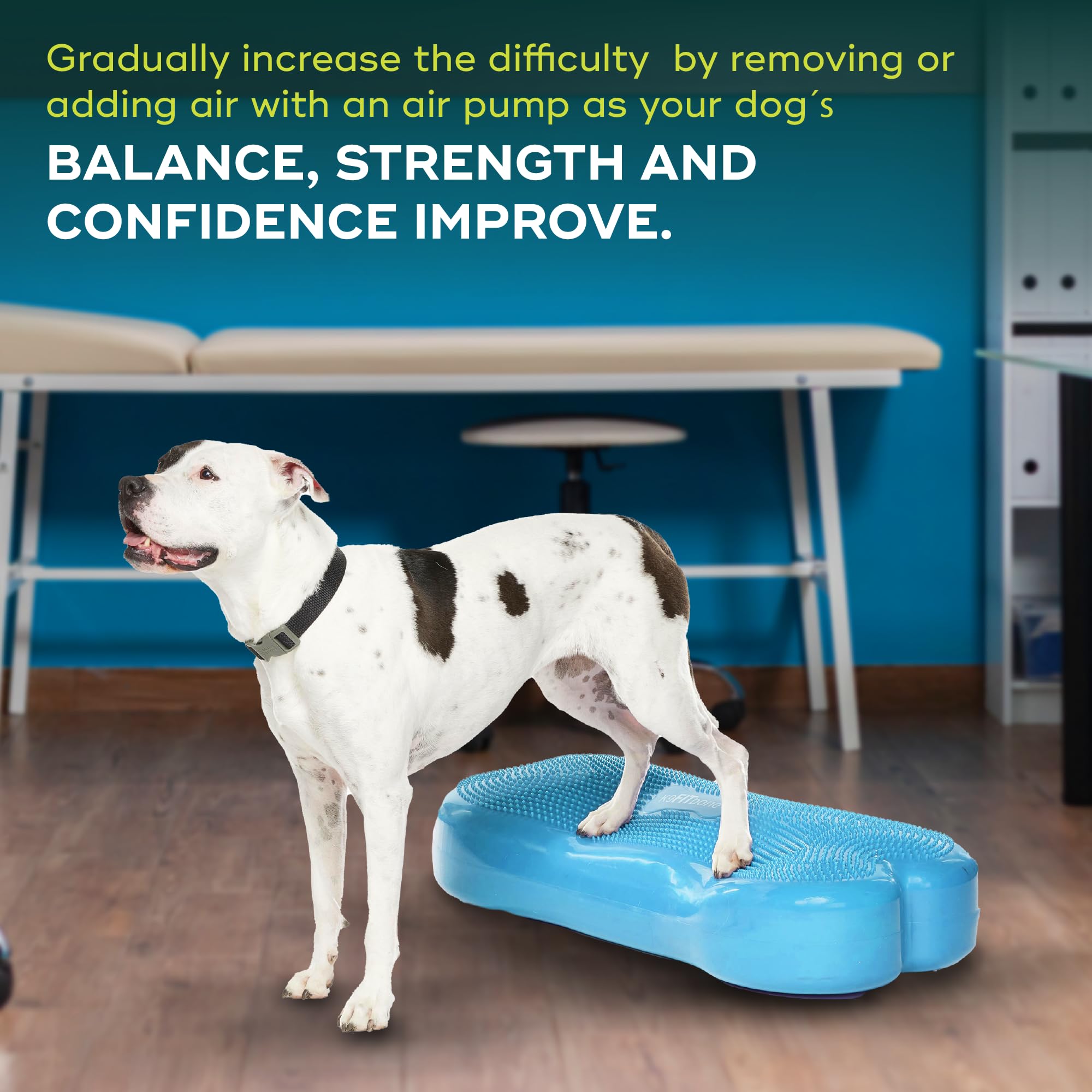 FitPAWS K9FITbone Giant Dog Balance Training Platform - Turquoise Exercise Equipment for Core Strength & Stability | Workout Tool for Canine Fitness | Perfect for Agility Training, Rehabilitation & Home Gym Use