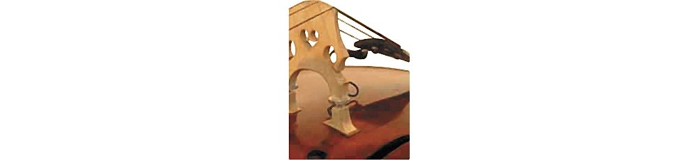Professional Realist Double Bass Transducer Pickup - High-Quality Acoustic Bass Amplification for Live Performances & Studio Recording