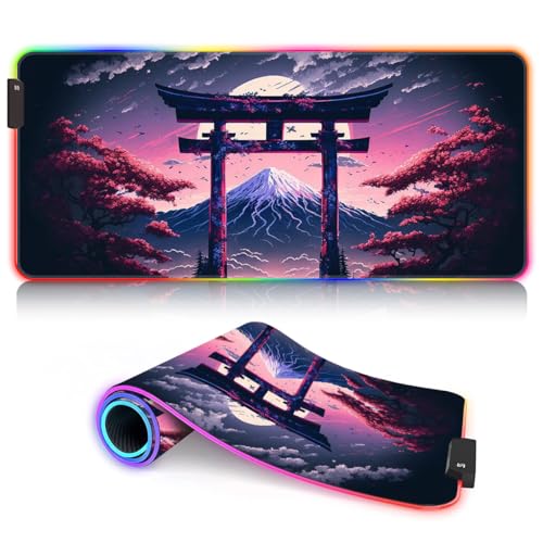 a20-mount fuji