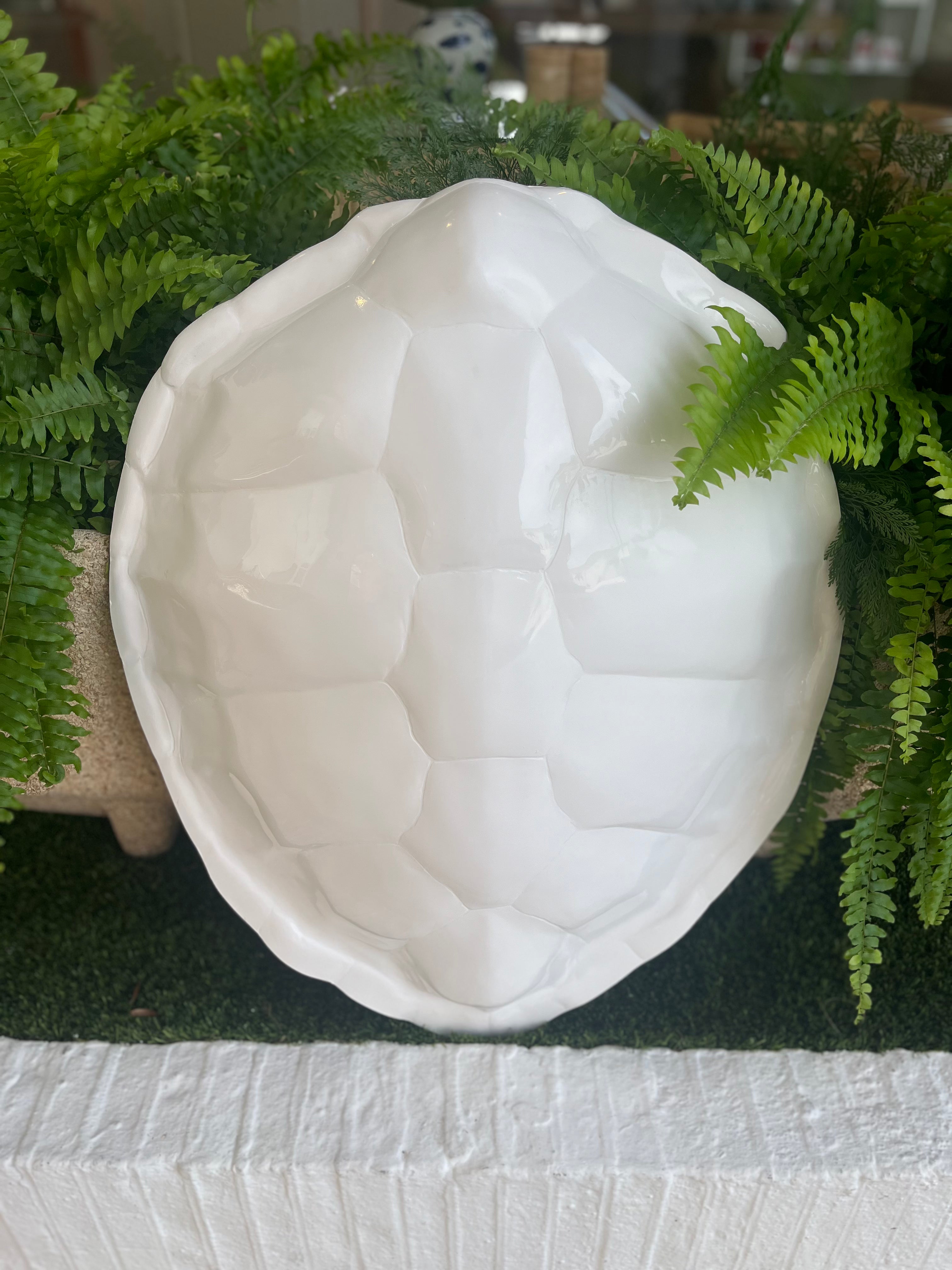 Premium Large Tortoise Shell for Home Decor, DIY Crafts, and Aquarium Accessories | Natural and Durable for Reptile Habitats, Beach Themed Parties, and Coastal Interior Design