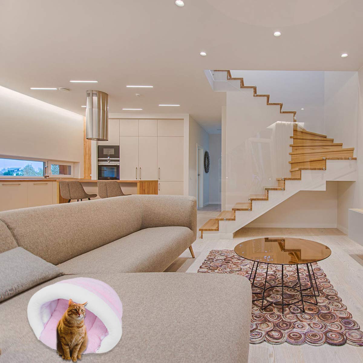 Cozy Cat Donut Bed - Warm Pet Bed for Cats & Small Dogs - Perfect for Indoor Napping