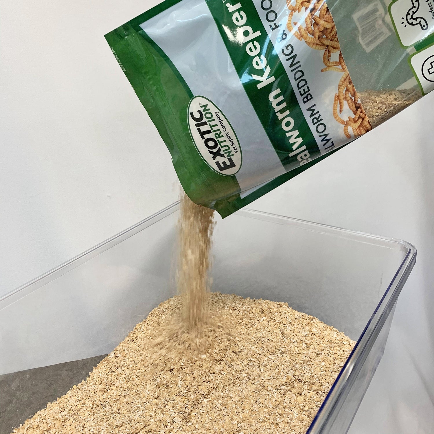Live Mealworms for Reptiles & Birds - Premium Mealworm Keeper with Food & Bedding - Ideal for Feeding Bearded Dragons, Chickens, and Wild Birds