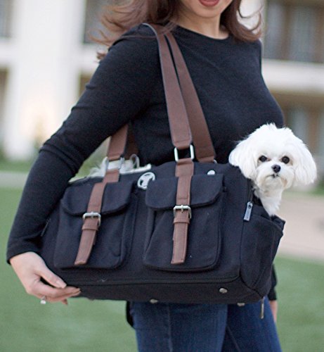 Airline Approved Black Canvas Pet Carrier Combo for Small Dogs - Interchangeable Base & Shell Tote with Pockets | Perfect for Weekend Travel & Daily Use