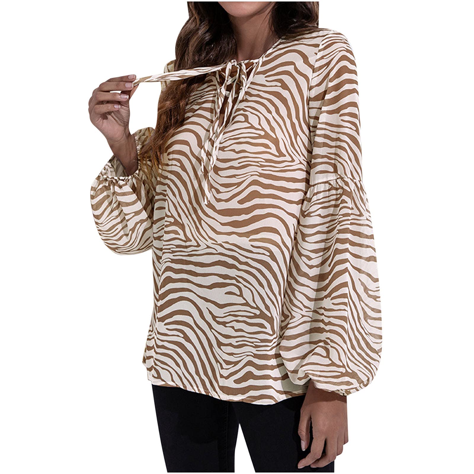 Women's Plus Size Chiffon Tunic Top - Elegant Tie Neck Lantern Sleeve Blouse for Casual & Business Wear | Trendy Loose Pullover Shirt for Fall | Perfect for Office, Dating & Special Occasions