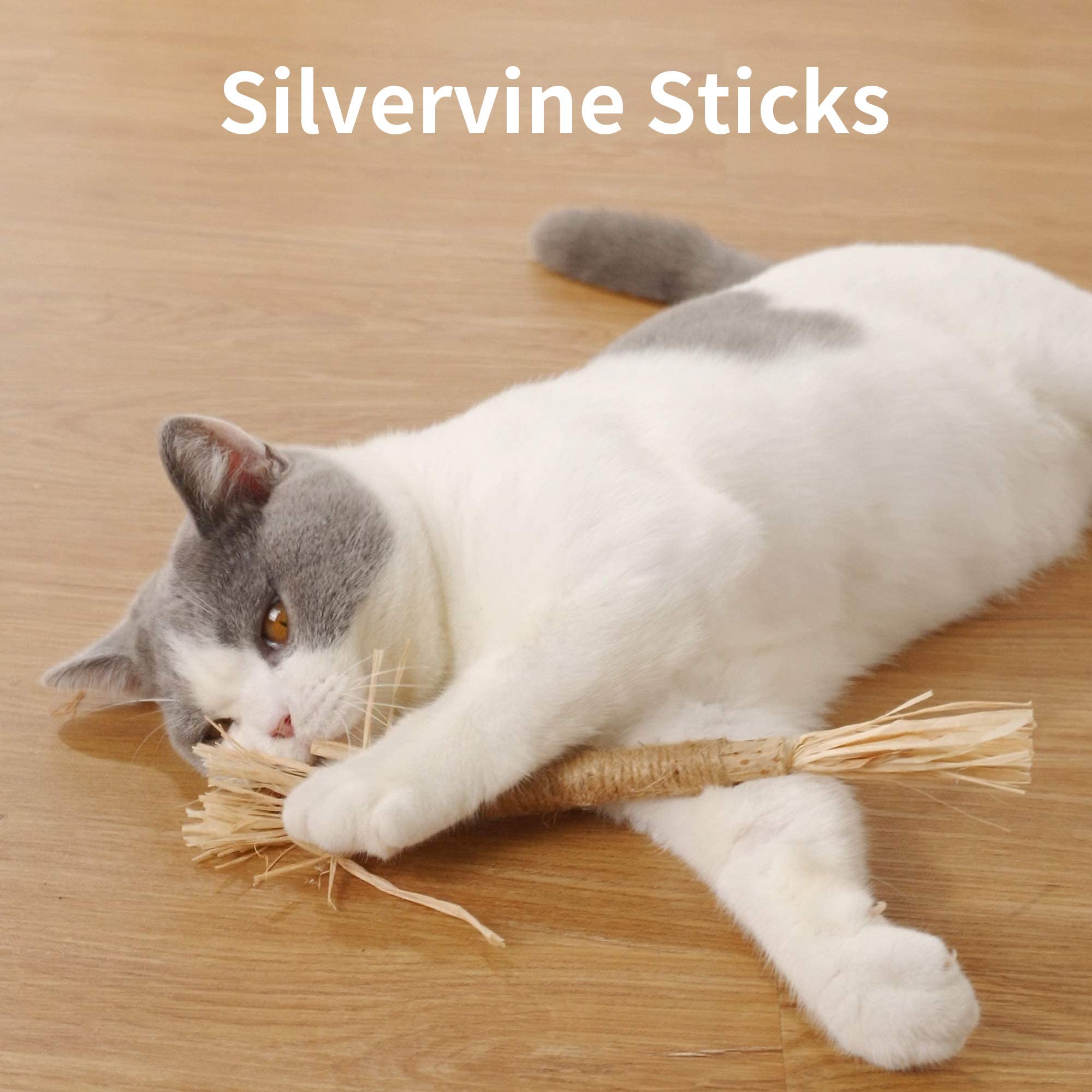 PAZ'S GIFT Natural Catnip & Silvervine Cat Toys - 2 Pack Raffia Chew Sticks for Teeth Cleaning, Interactive Kitten Teething Toy, Dental Care & Play for Indoor Cats - Perfect for Playtime & Stress Relief