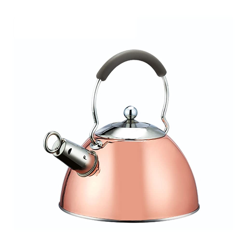 FEANG 2.5L Stainless Steel Whistling Tea Kettle - Stovetop Whistling Teapot with Rotating Lock Spout, Suitable for Gas/Electric/Induction Cooktops - Perfect for Home Kitchen, Camping & Tea Lovers