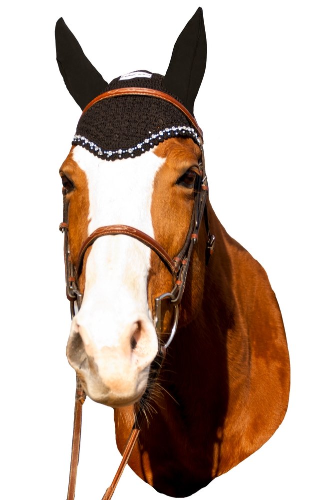 Equestrian Crystal Fly Bonnet - Black Cob Size for Show & Riding