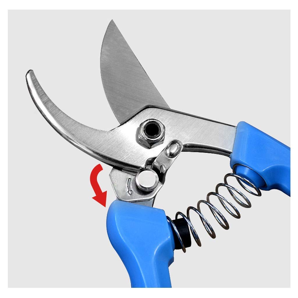 Premium Stainless Steel Bypass Pruning Shears - Sharp Garden Shears for Plants, Flowers & Shrubs - Ergonomic Non-Slip Handles - Ideal for Gardening, Landscaping & Outdoor Trimming