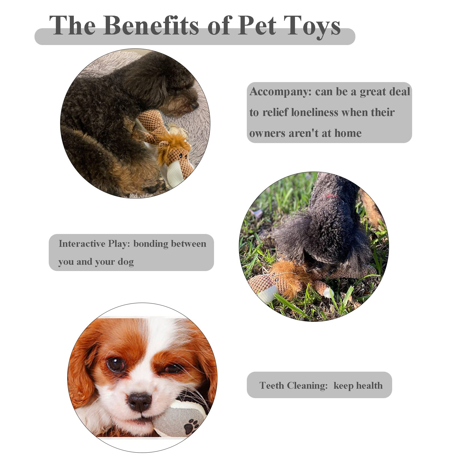 Durable Dog Chew Toys with Squeaker - Interactive Plush Lion Toy for Puppy & Small Medium Dogs - Teeth Cleaning, Training & Playtime Fun - Perfect for Indoor Play, Outdoor Adventures & Anxiety Relief
