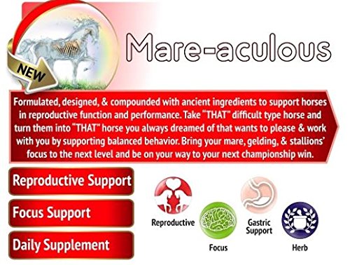 Organic Non-GMO Mare-Aculous 1.5 Lb Horse Supplement for Calming, Focus & Reproductive Support - Perfect for Show Horses, Breeding Mares & Performance Equines