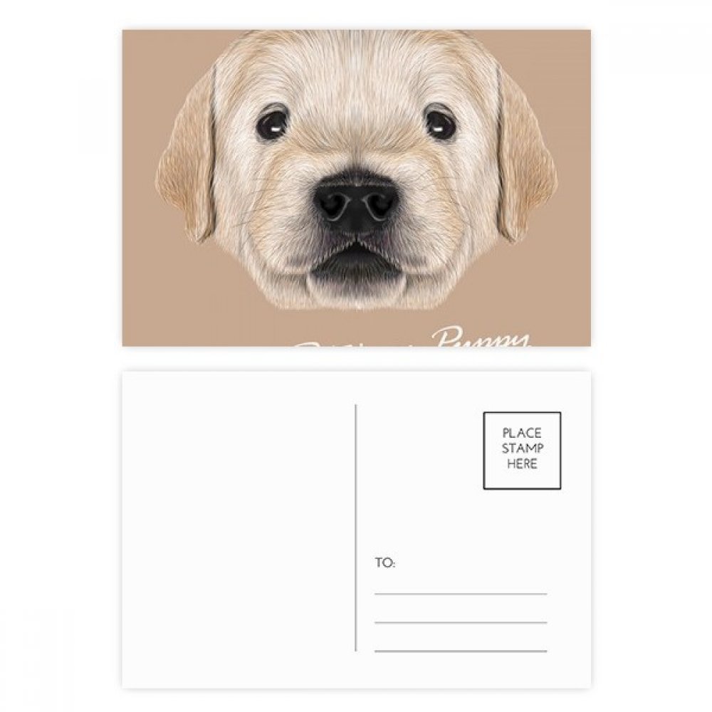 Golden Retriever Puppy Postcard Set - Cute Dog Greeting Cards for Birthday, Thank You & Mailing (Perfect for Pet Lovers, Animal Themed Parties & Special Occasions)