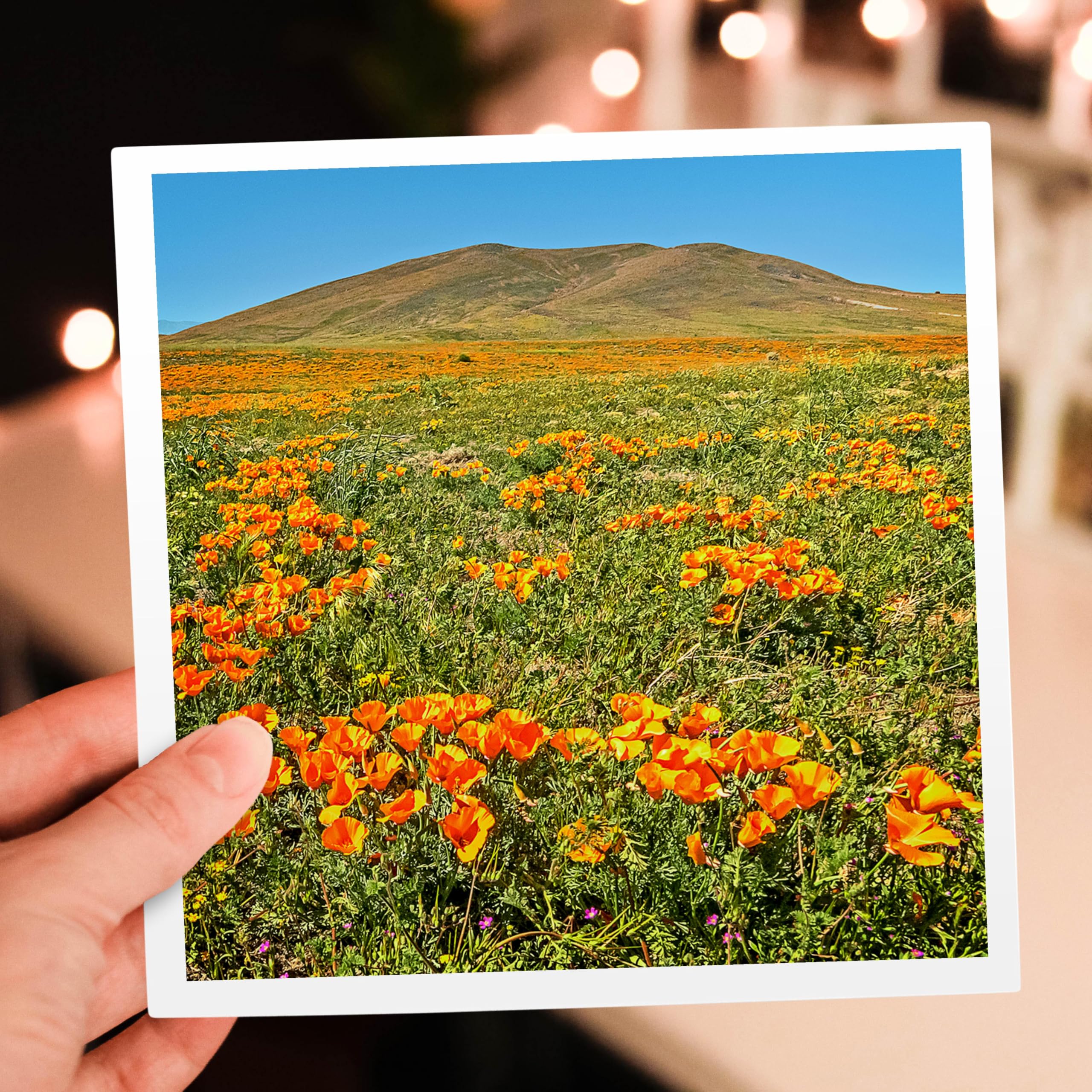 California Poppy Field Greeting Card - Stunning Landscape Photography - Perfect for Birthdays, Thank You Notes & Home Decor