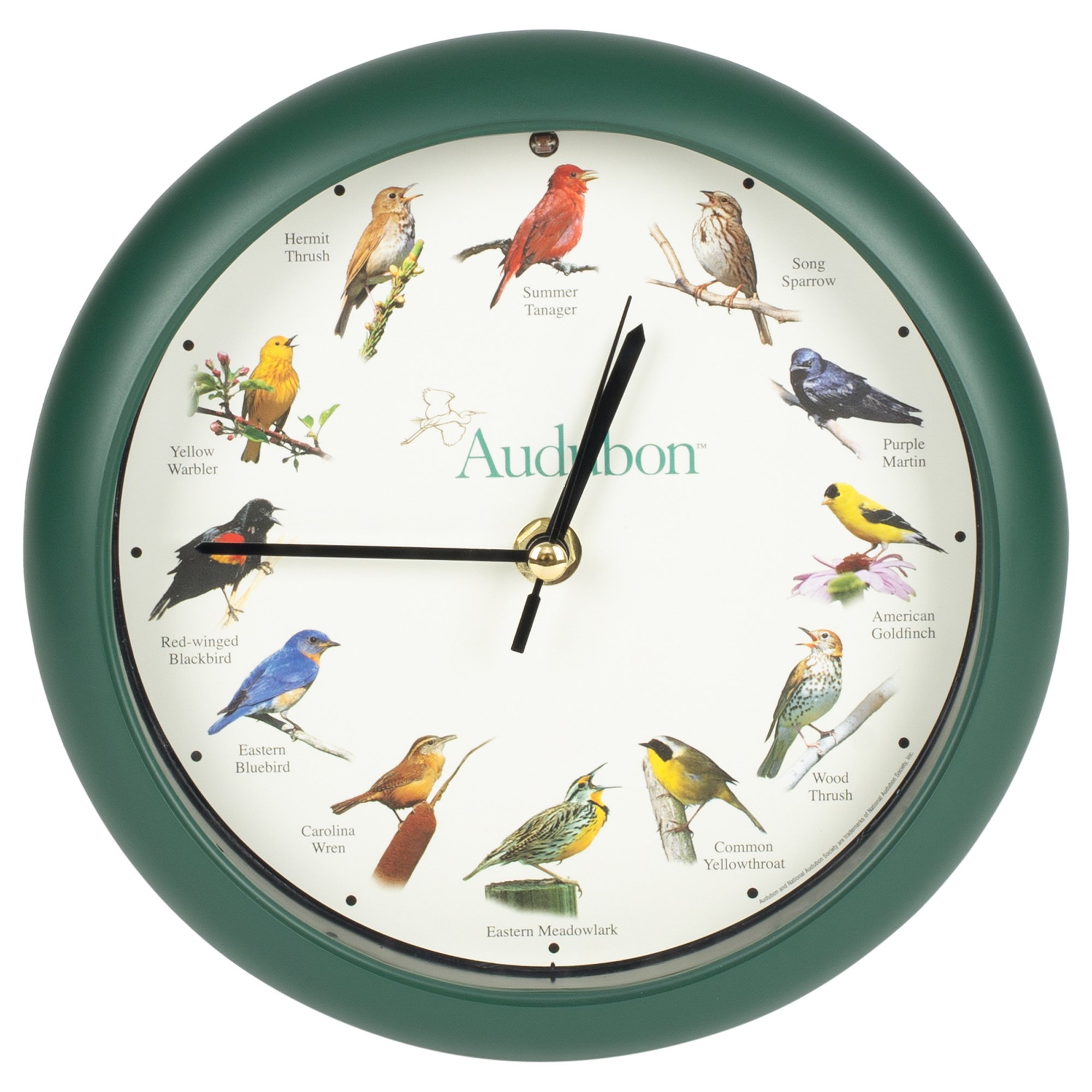 Audubon Singing Bird Wall and Desk Clock - 8 Inch Decorative Musical Clock with Melodies - Perfect for Home, Office, Nursery, and Gift Giving