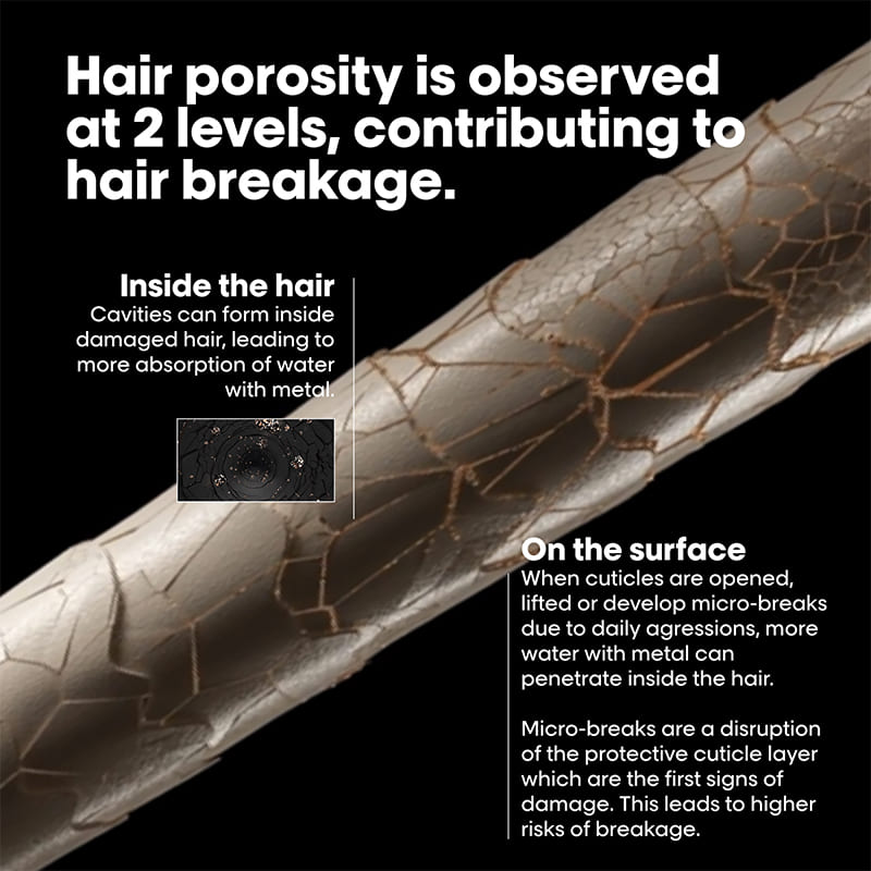 L'Oréal Professionnel Metal Detox Pre Shampoo Treatment - Remove Heavy Metals & Protect Hair - For Color-Treated & Damaged Hair - Salon Quality Hair Care at Home