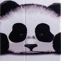 02 Panda
