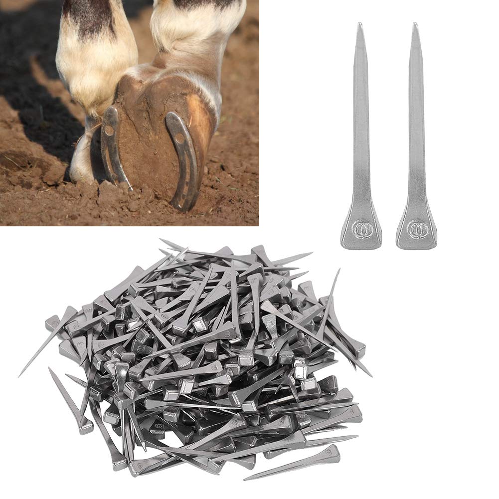 250Pcs Horseshoe Nails for Equestrian Sports - Durable Horse Shoeing Supplies & Farrier Tools - Perfect for Horse Care, Stable Maintenance and Professional Blacksmithing