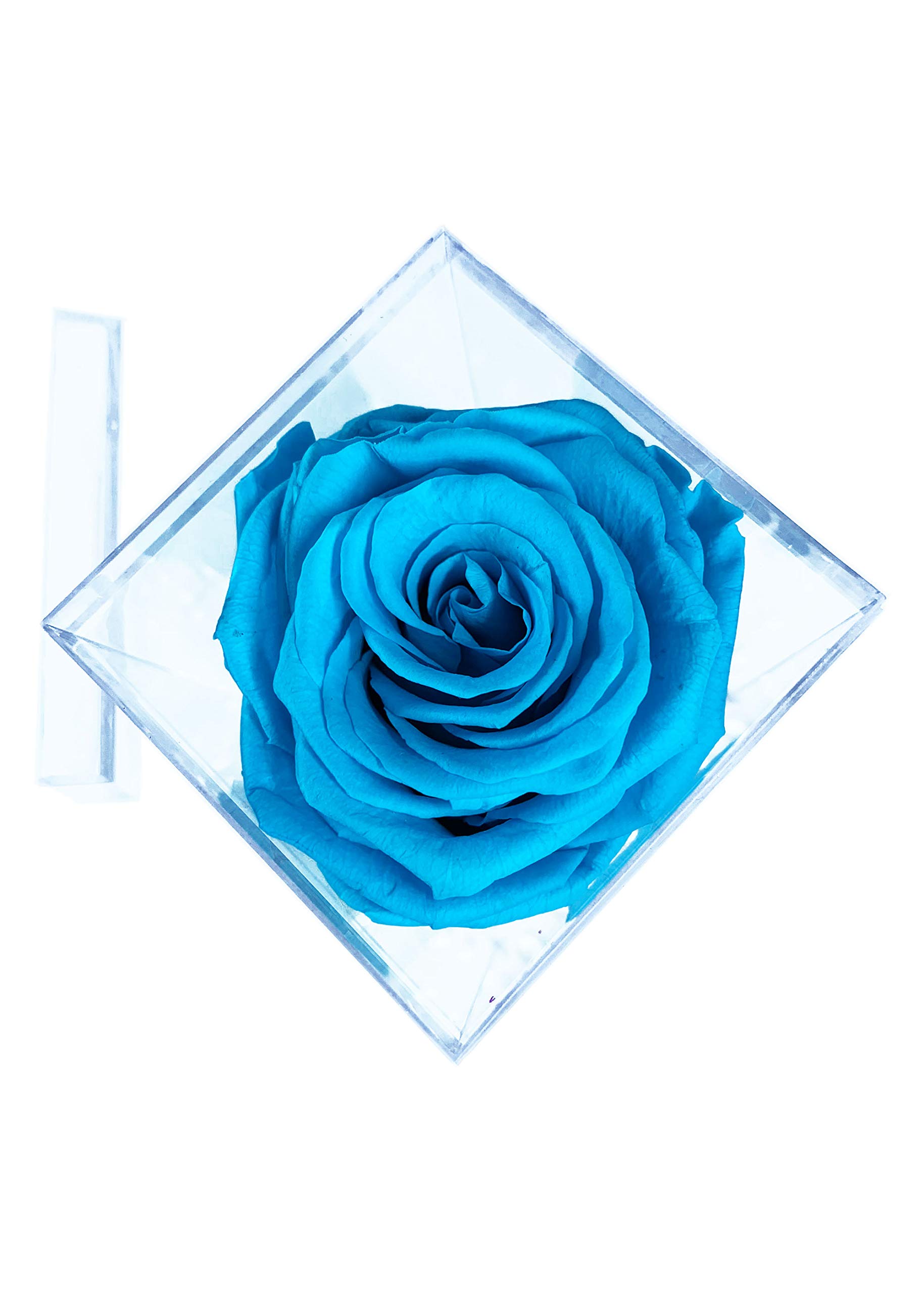 Single Real Long Lasting Preserved Rose in Light Blue Plastic Cube - Perfect for Valentine's Day Gifts, Wedding Decor & Romantic Home Decorations