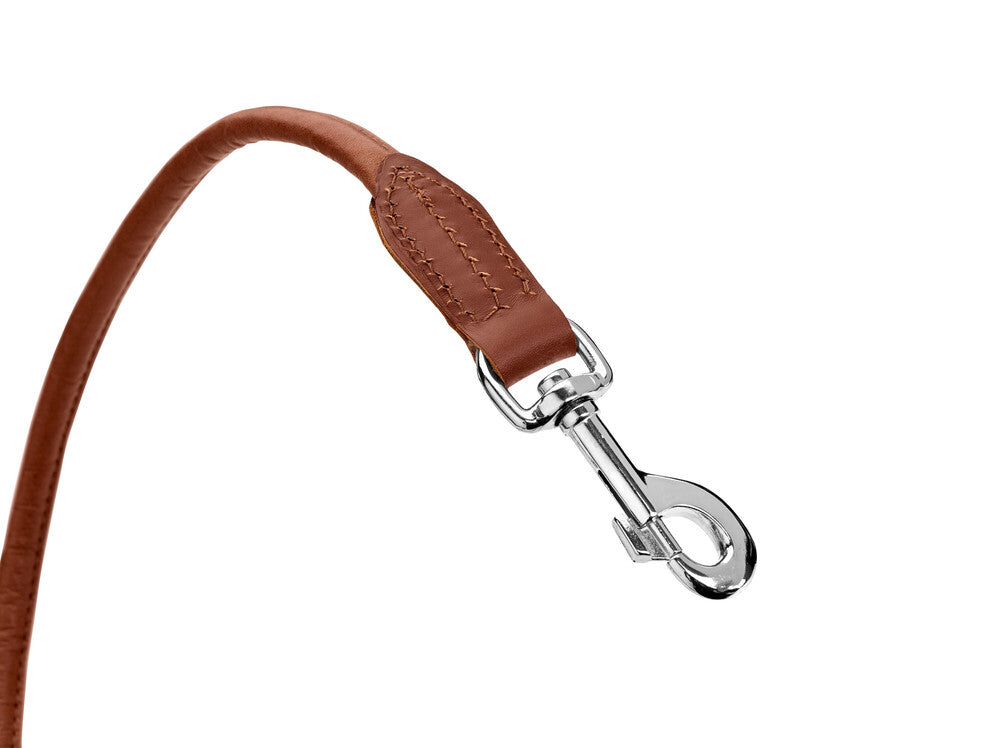 HUNTER UP Round & Soft Classic Dog Leash - 40 Inch Durable Nylon Pet Leash for Small & Medium Dogs - Perfect for Walking, Training & Outdoor Adventures
