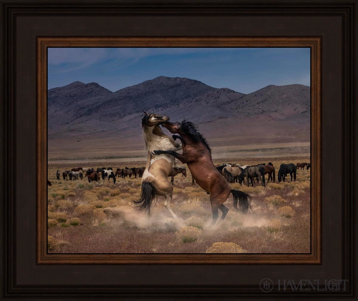 Desert Duel by Greg Sargent - Western Novel, Adventure & Action Book - Perfect for Fans of Cowboy Stories and Wild West Tales | Great for Reading on Road Trips, Camping & Relaxation