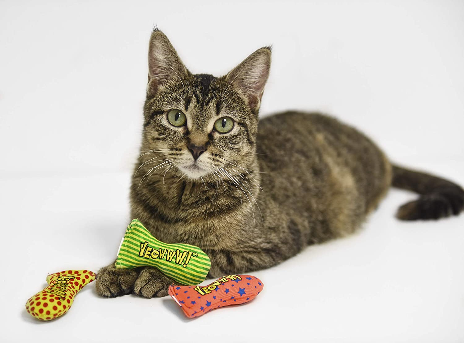 Yeowww! Stinkies Catnip Toys for Cats - All-Natural Catnip Cat Toys with Premium Organic Catnip - Fun Interactive Play for Indoor & Outdoor Cats - Perfect for Playtime, Training & Stress Relief