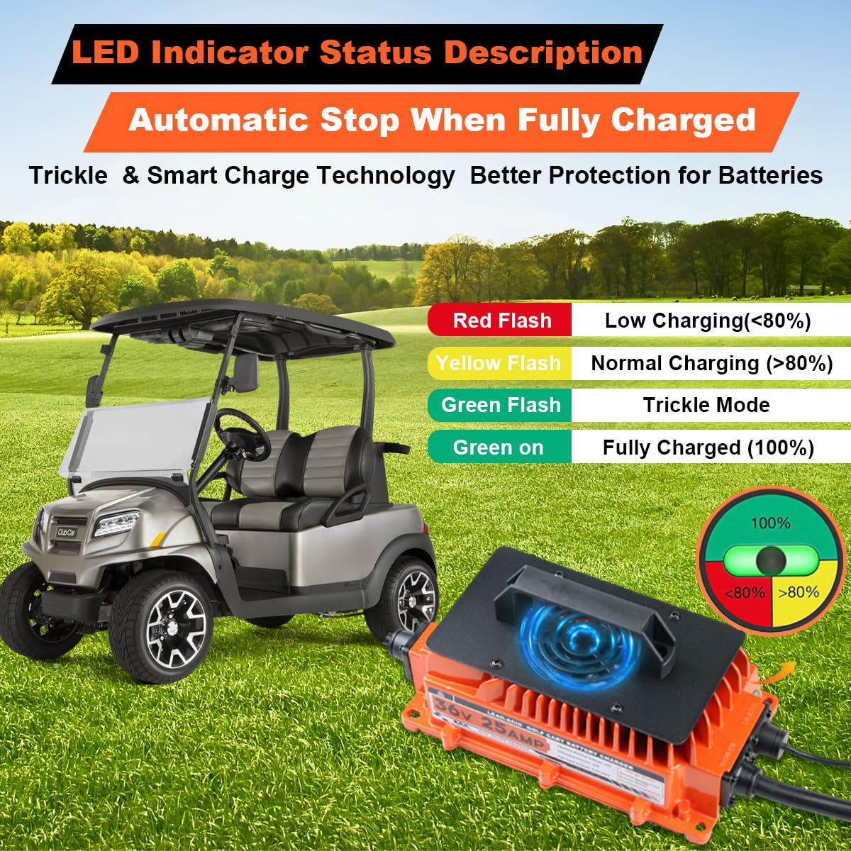 25 AMP 36 Volt Golf Cart Battery Charger for EZGO TXT 36V - 1250W Lead-Acid Charger with 2-Pin D Style Plug | Fast Charging for Golf Carts, Electric Vehicles & Outdoor Power Equipment