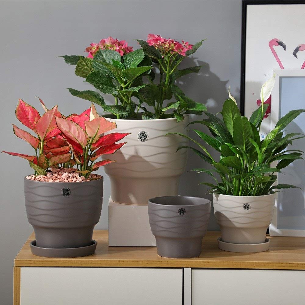 Ceramic Succulent Planter with Drainage Hole & Tray - Flower Pot for Cactus, Plants, Home, Garden, Office & Desk Decor - Perfect for Indoor & Outdoor Use, Tabletops, Windowsills & Gifts