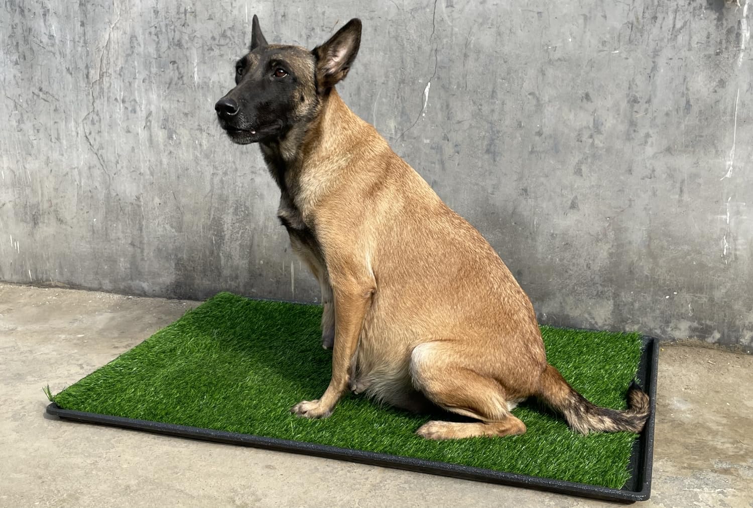 Premium Large Dog Grass Pad with Tray - 3-Pack Realistic Fake Grass (41.4