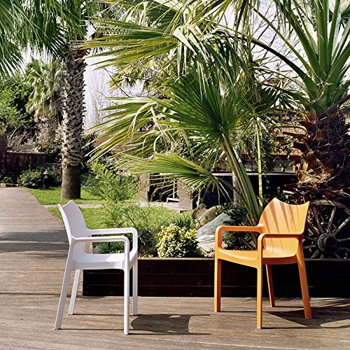 Compamia Diva Resin Outdoor Patio Dining Arm Chair Set of 4 - Tropical Green Weather-Resistant Garden Chairs for Poolside, Backyard, and Restaurant Seating