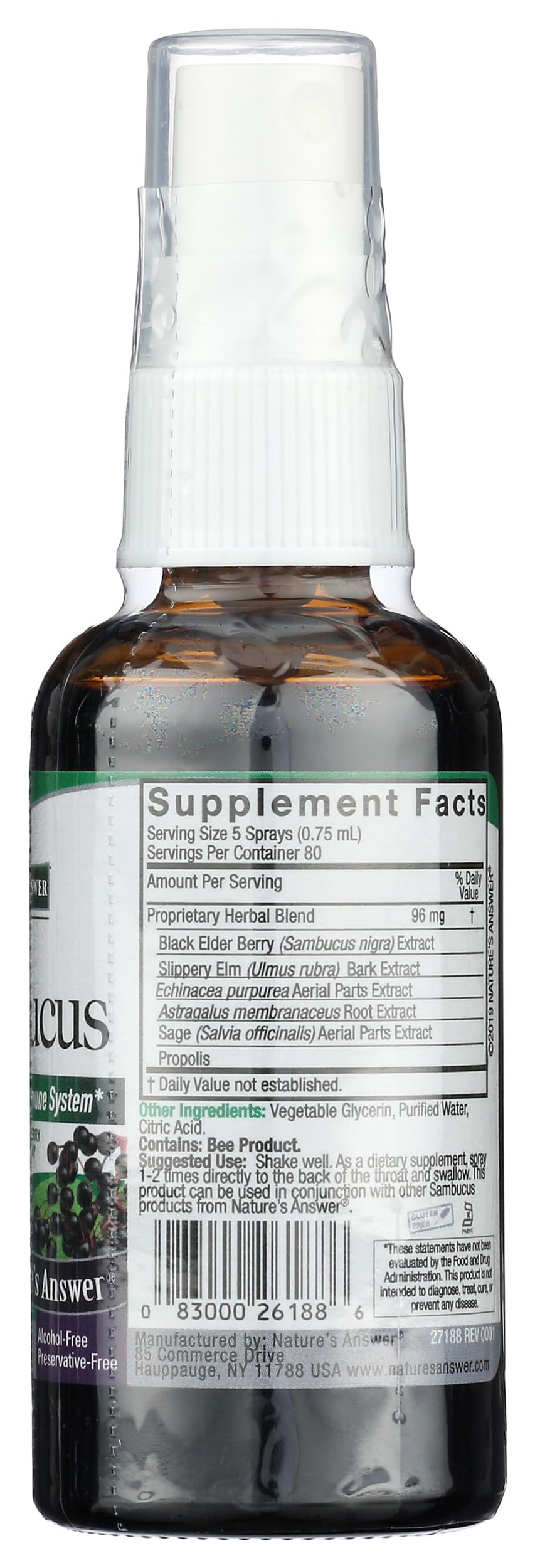 Nature's Answer Sambucus Elderberry Immune Support Spray, 2 fl oz - Boost Immunity & Fight Colds, Perfect for Travel & Daily Wellness