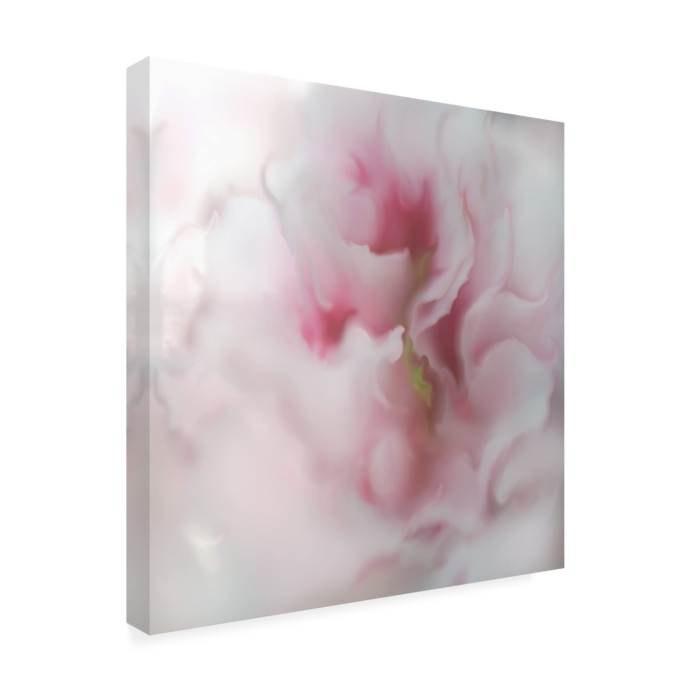 Trademark Fine Art 'Hope in Pink IV' Canvas Wall Art by Gillian Hunt - Pink Abstract Painting for Living Room, Bedroom & Office Decor