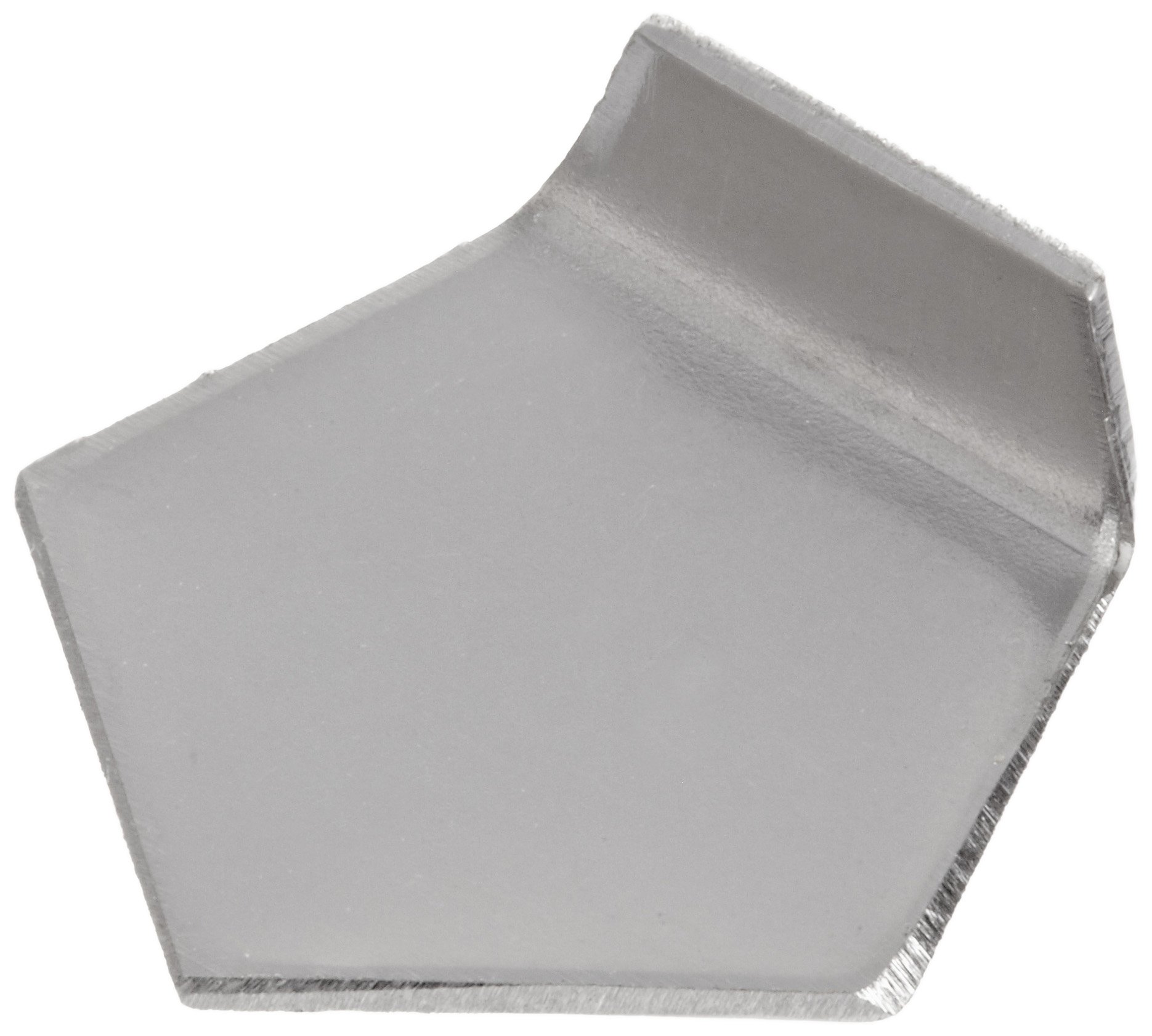 Ohaus 100g Stainless Steel OIML Class E2 Calibration Weight - Precision Lab Scale Calibration for Jewelry, Pharmacy & Scientific Research
