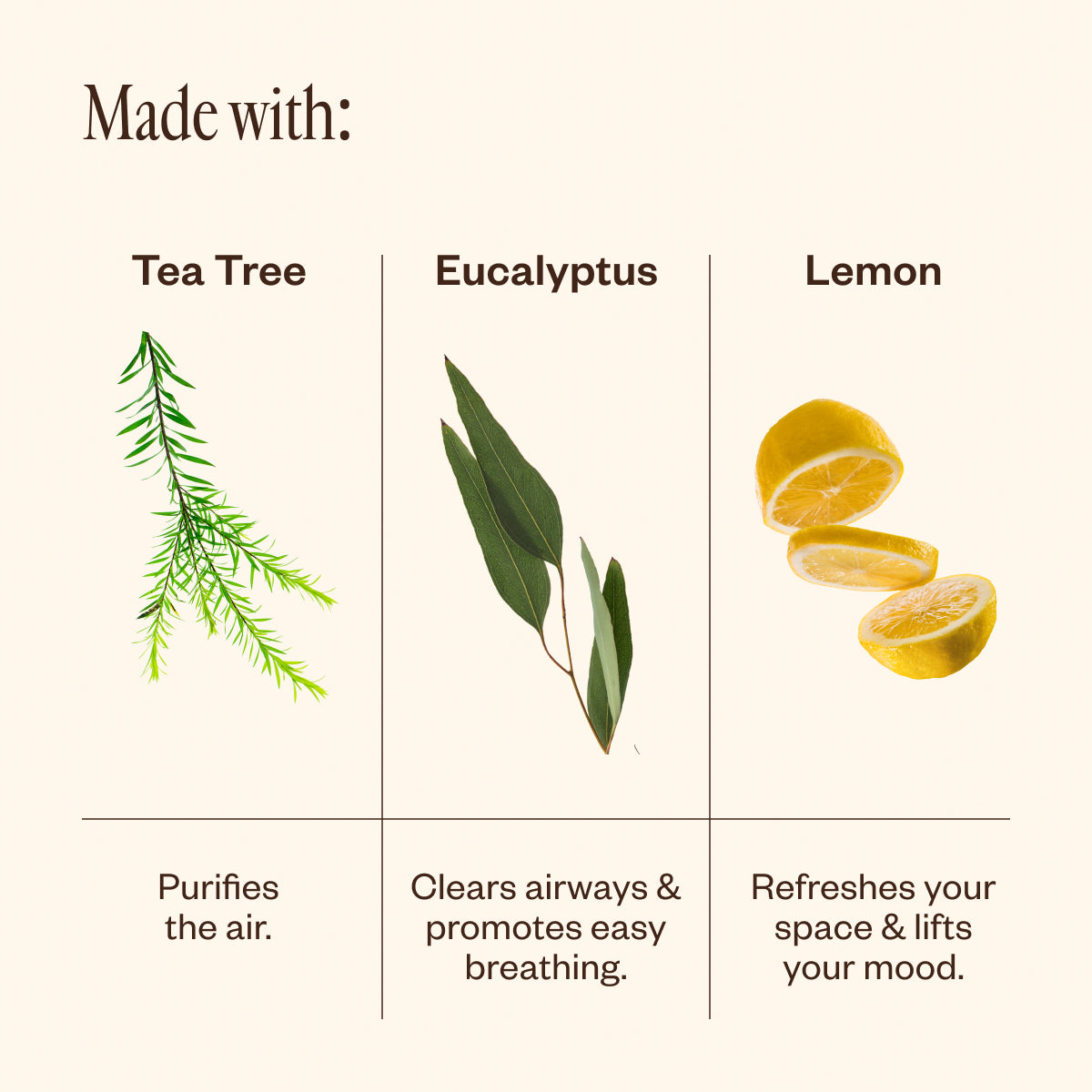 10ml Immune Boosting Essential Oil Diffuser Blend - Natural Aromatherapy for Home, Office & Wellness