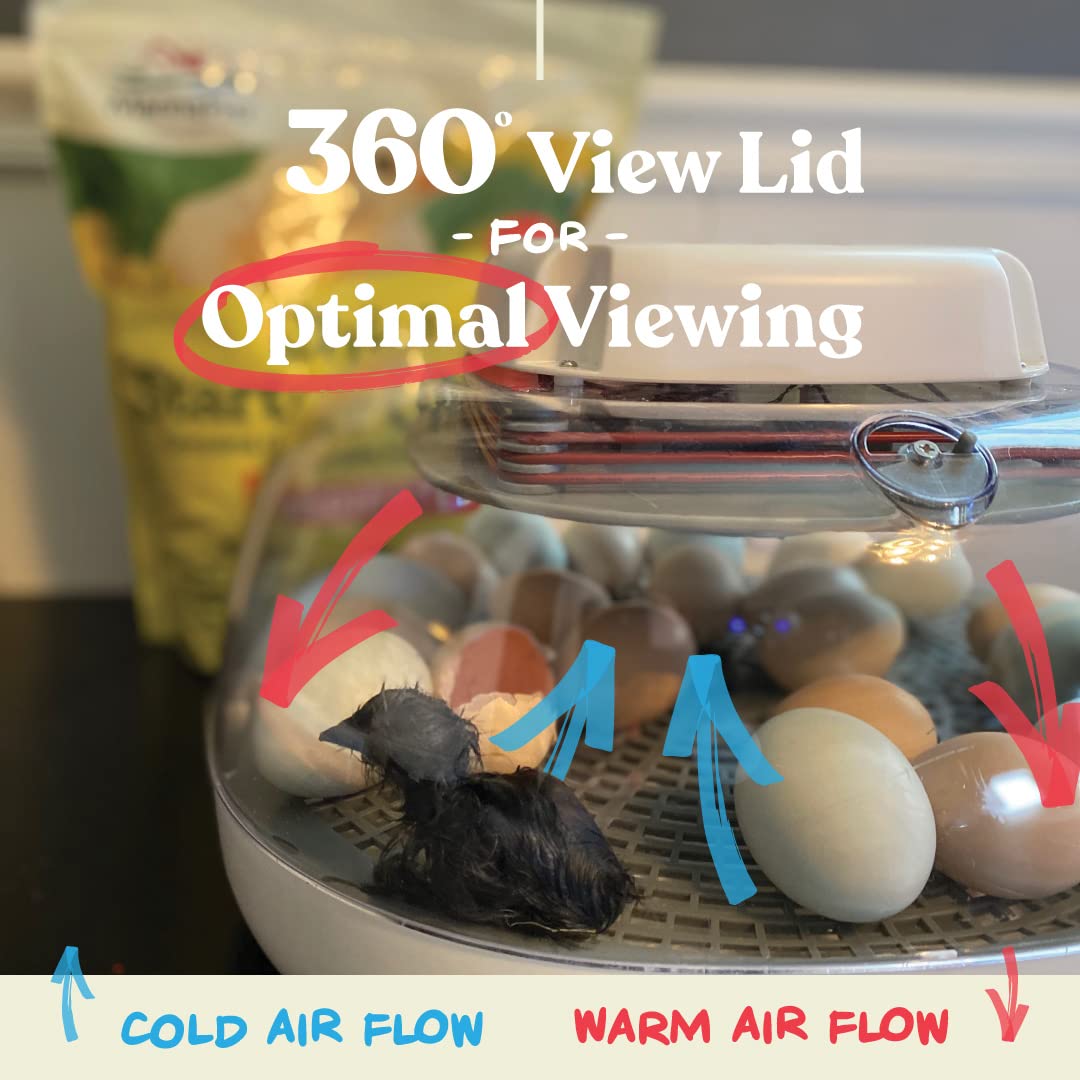 Harris Farms Nurture Right 12-22 Egg Incubator - Automatic Egg Turner with Digital Temperature & Humidity Control - Clear 360° View Window - Perfect for Hatching Chicken, Duck & Quail Eggs - Ideal for Home, Farm & Classroom Use