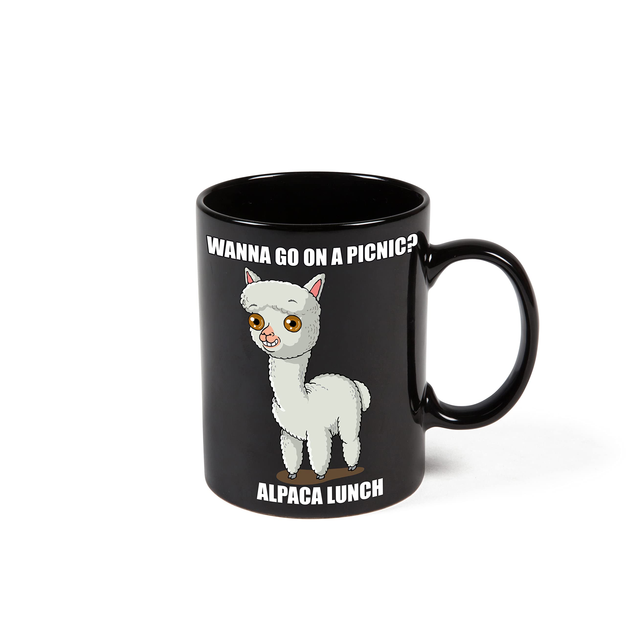 BigMouth Inc 16oz Color Changing Alpaca Mystery Mug - Heat & Cold Activated Ceramic Coffee Cup - Perfect for Surprise Gifts, Office Use & Fun Hot/Cold Drinks