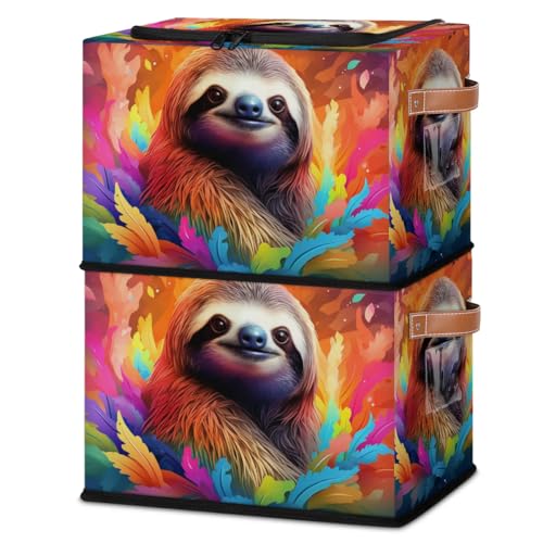 Cute Animal Sloth