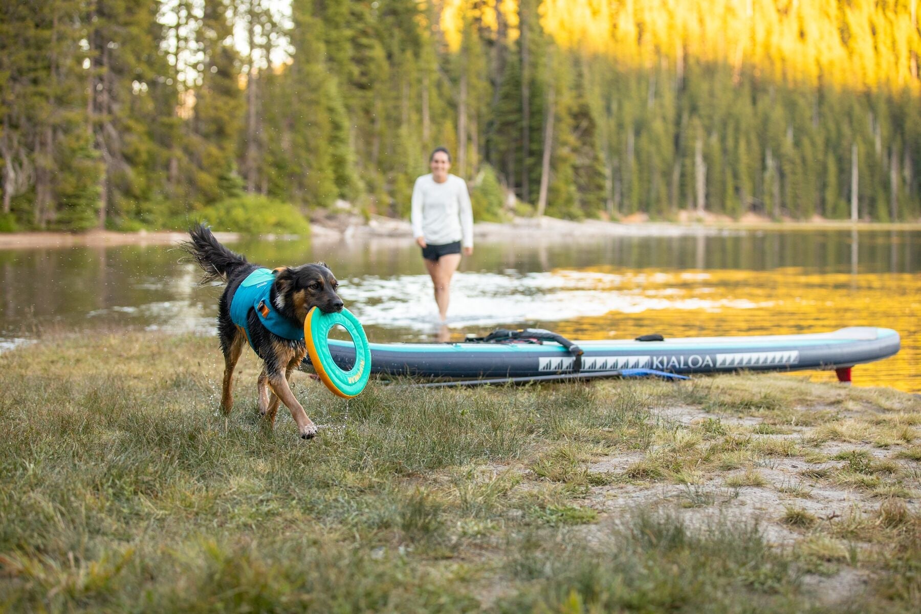 Ruffwear Hydro Plane™ Floating Dog Disc Toy - Tangelo Orange, Waterproof & Durable for Pool, Beach & Outdoor Play - Perfect for Fetch Games with Dogs