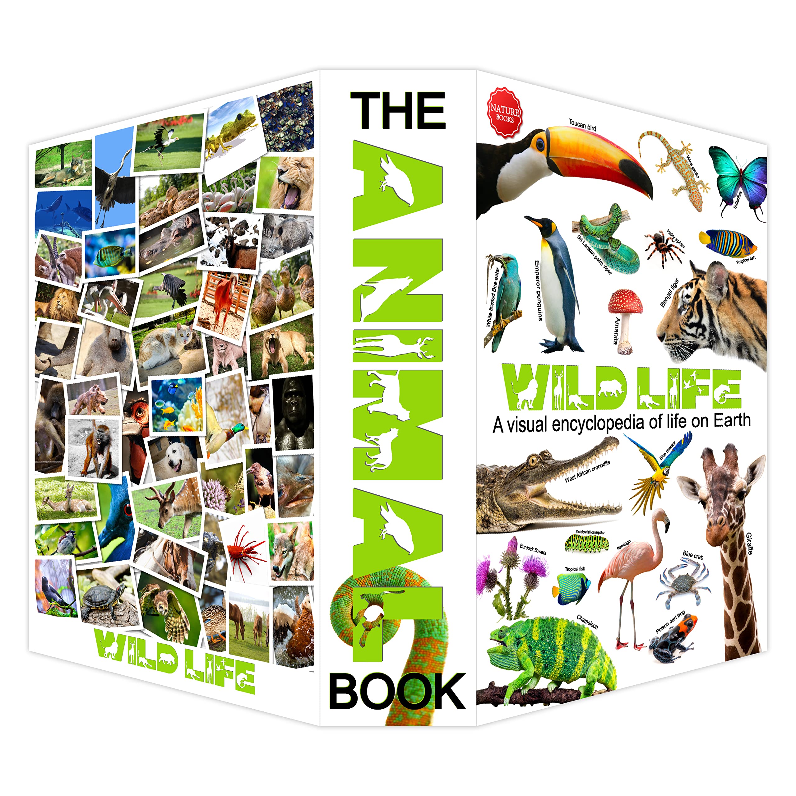 Wild Life Diversion Book Safe with Key Lock - Hidden Secret Storage Box for Cash, Jewelry & Valuables (9.3''x6.1''x2.3'') - Perfect for Home Security, Travel & Emergency Hideouts