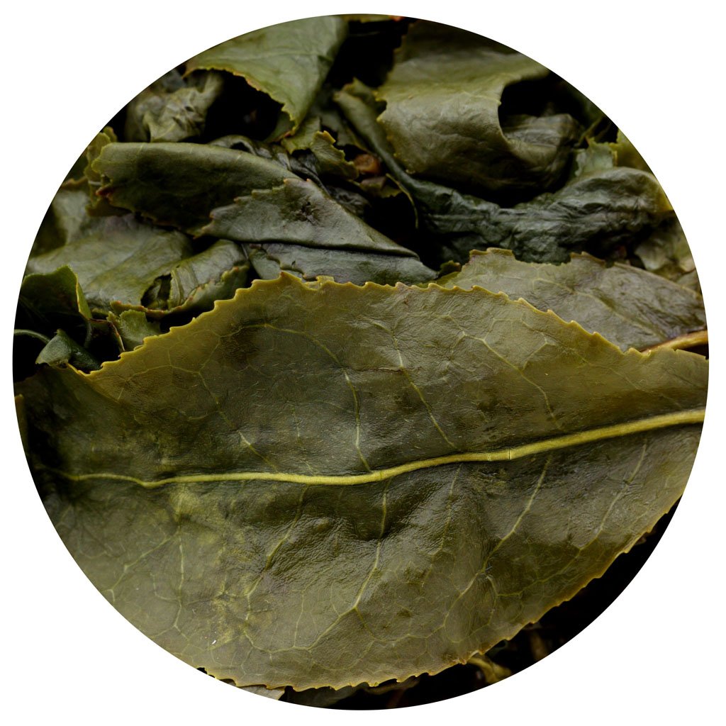 Premium Taiwanese Dong Ding Oolong Tea Loose Leaf - 4 Pack (250g/35.2oz Total) - High Mountain Green Oolong Tea for Daily Brewing, Gift Giving & Relaxation Moments