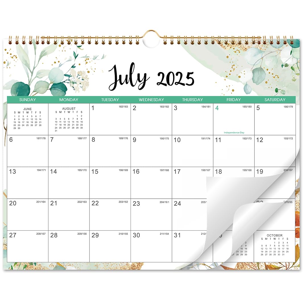 2025-2026 18-Month Wall Calendar | July 2025-December 2026 | 11.6