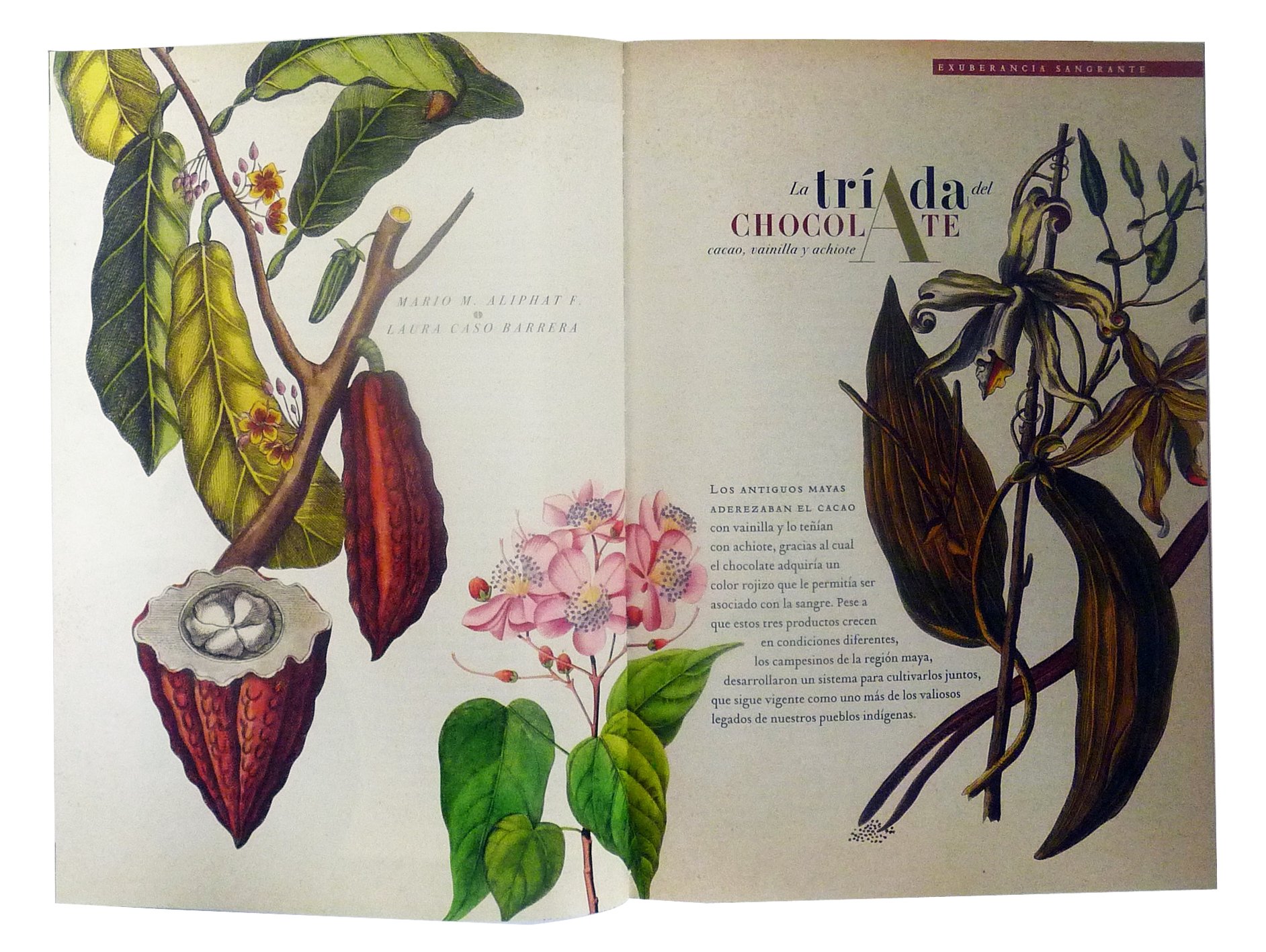 The Chocolate II: Mysticism and Mestizaje - Art Magazine Book from Mexico (Spanish Edition) | Explore Mexican Culture, Art & History | Perfect for Art Lovers, Collectors & Cultural Enthusiasts