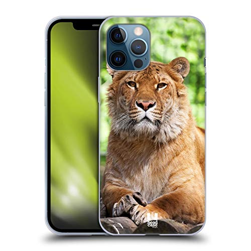 Siberian Liger