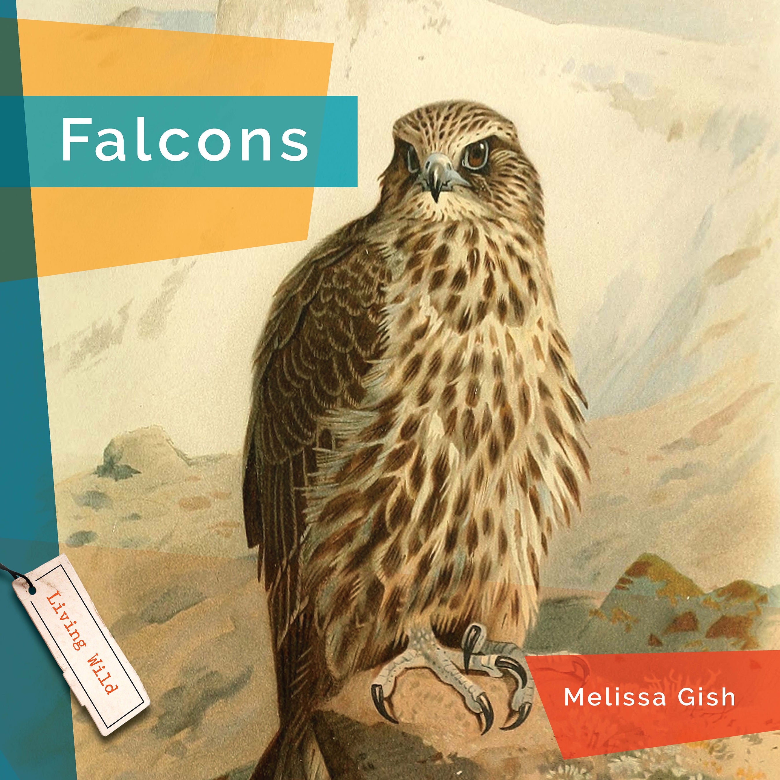 Falcons Book 9781640267800 - Wildlife Nature Guide for Bird Watching & Outdoor Enthusiasts