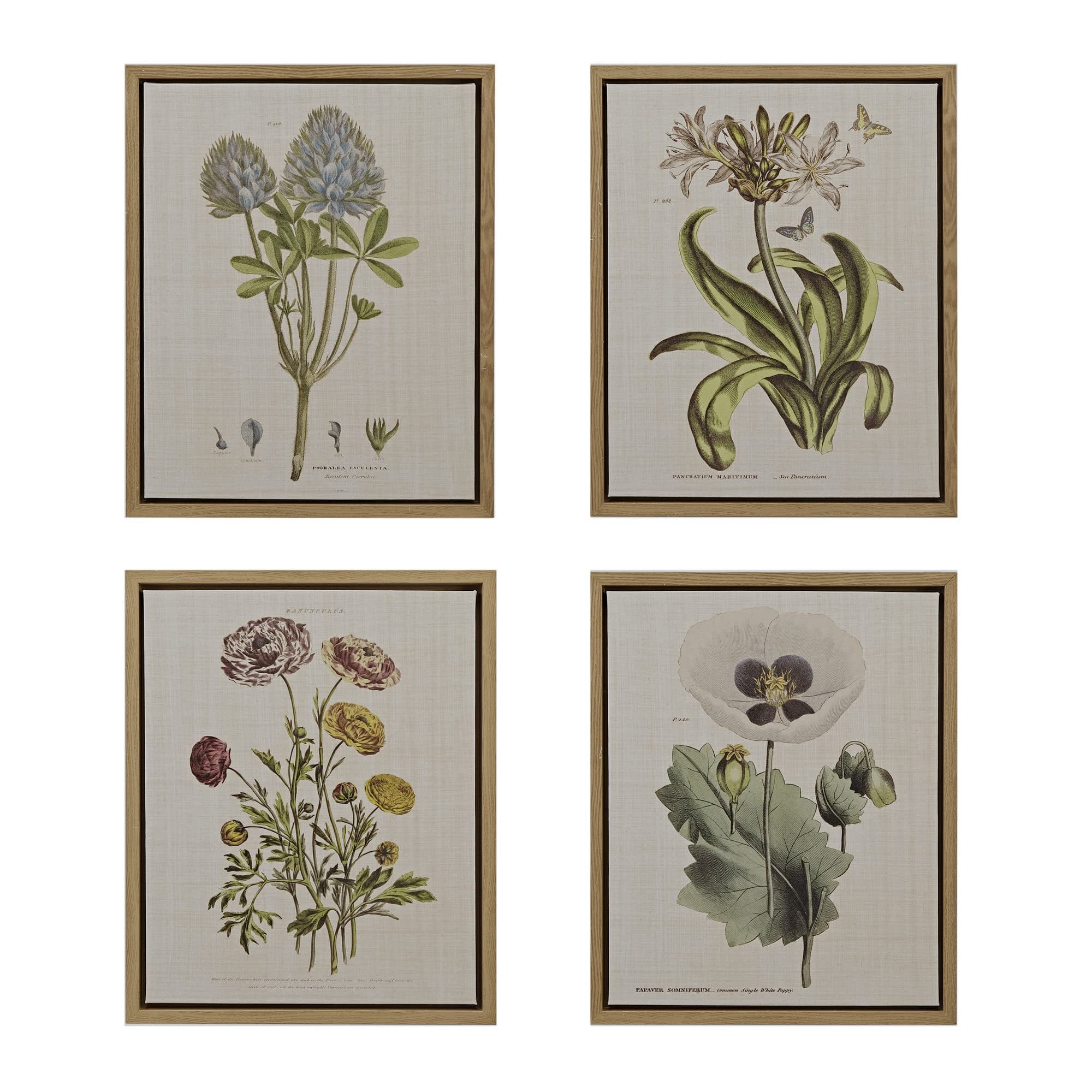 Madison Park Herbal Botany Wall Art - Floral Linen Canvas Painting for Living Room & Bathroom Decor | Farmhouse Style Ready-to-Hang Wall Decor | Perfect for Home, Office & Spa Interior Design
